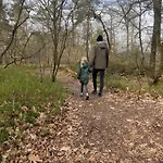 Forest Finest, Luxe Met Hot Tub Mooie Overkapping En Prachtige Tuin Met Veel Privacy * هونديرلو