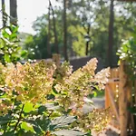 Forest Finest, Luxe Met Hot Tub Mooie Overkapping En Prachtige Tuin Met Veel Privacy هونديرلو