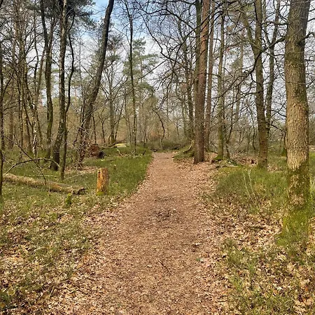 Forest Finest, Luxe Met Hot Tub Mooie Overkapping En Prachtige Tuin Met Veel Privacy 霍德鲁