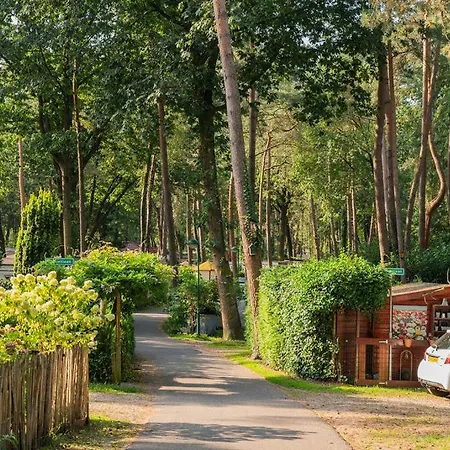 Forest Finest, Luxe Met Hot Tub Mooie Overkapping En Prachtige Tuin Met Veel Privacy Alpesi faház Hoenderloo