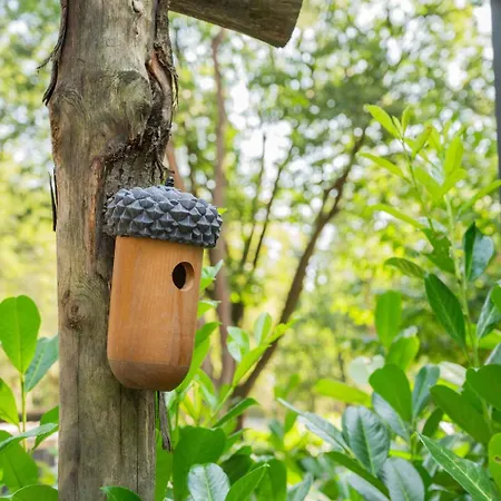 木屋 Forest Finest, Luxe Met Hot Tub Mooie Overkapping En Prachtige Tuin Met Veel Privacy 霍德鲁