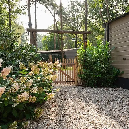 Forest Finest, Luxe Met Hot Tub Mooie Overkapping En Prachtige Tuin Met Veel Privacy 霍德鲁