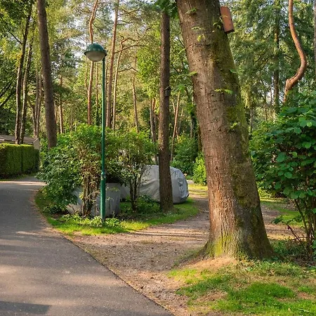 Forest Finest, Luxe Met Hot Tub Mooie Overkapping En Prachtige Tuin Met Veel Privacy Chalet