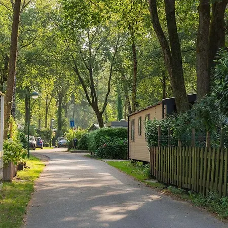 Forest Finest, Luxe Met Hot Tub Mooie Overkapping En Prachtige Tuin Met Veel Privacy