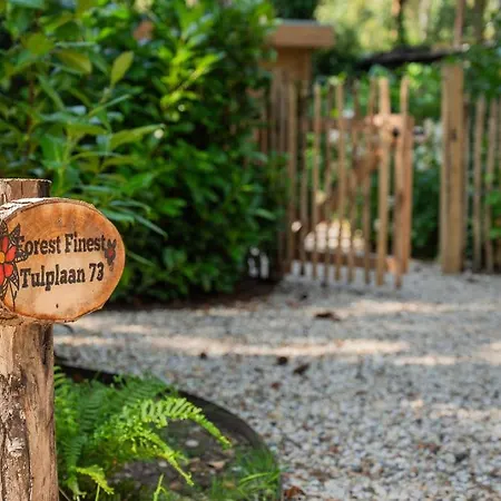 Forest Finest, Luxe Met Hot Tub Mooie Overkapping En Prachtige Tuin Met Veel Privacy Chalet