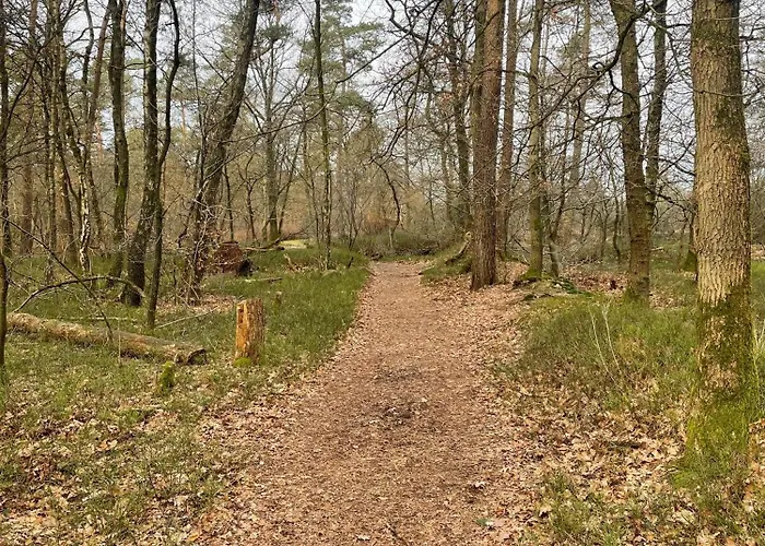 Forest Finest, Luxe Met Hot Tub Mooie Overkapping En Prachtige Tuin Met Veel Privacy هونديرلو