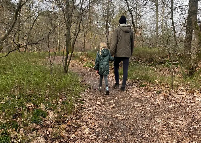 Forest Finest, Luxe Met Hot Tub Mooie Overkapping En Prachtige Tuin Met Veel Privacy * هونديرلو