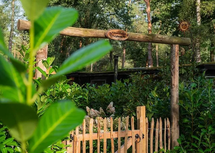 Forest Finest, Luxe Met Hot Tub Mooie Overkapping En Prachtige Tuin Met Veel Privacy