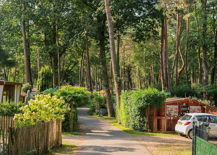 Forest Finest, Luxe Met Hot Tub Mooie Overkapping En Prachtige Tuin Met Veel Privacy Alpesi faház Hoenderloo