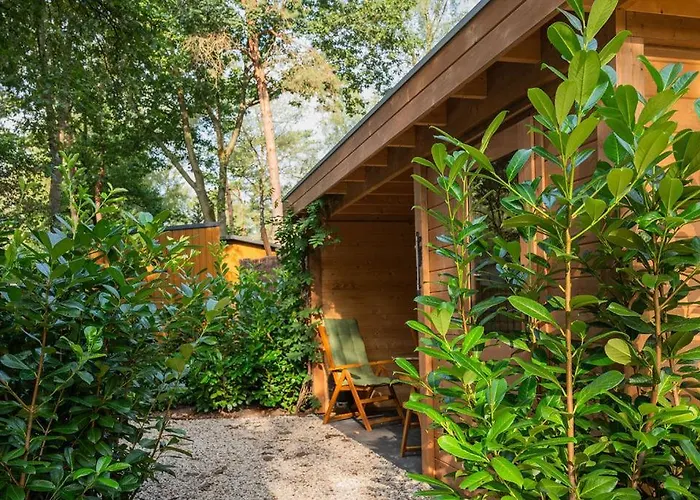 샬레 Forest Finest, Luxe Met Hot Tub Mooie Overkapping En Prachtige Tuin Met Veel Privacy 헨덜루