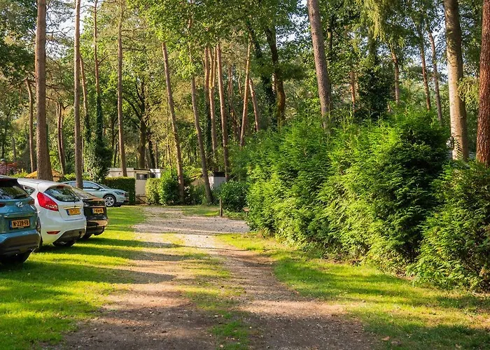 Forest Finest, Luxe Met Hot Tub Mooie Overkapping En Prachtige Tuin Met Veel Privacy *