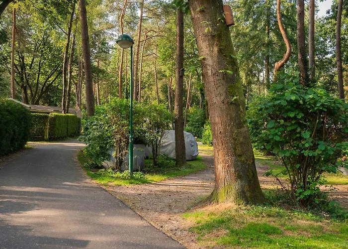 Forest Finest, Luxe Met Hot Tub Mooie Overkapping En Prachtige Tuin Met Veel Privacy شاليه