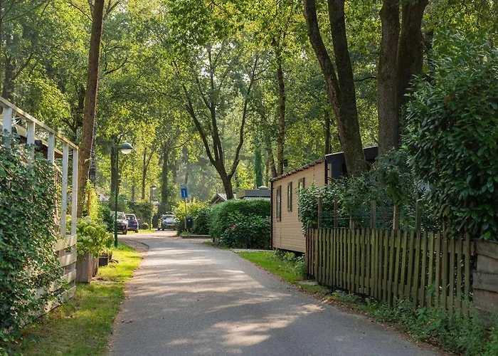 Forest Finest, Luxe Met Hot Tub Mooie Overkapping En Prachtige Tuin Met Veel Privacy
