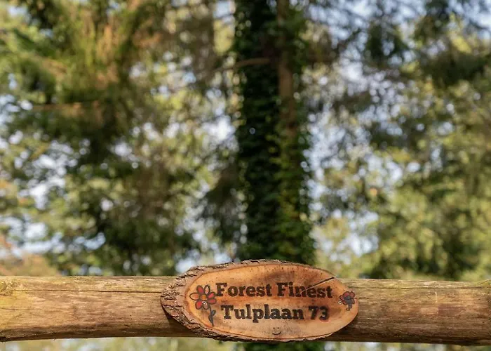 شاليه Forest Finest, Luxe Met Hot Tub Mooie Overkapping En Prachtige Tuin Met Veel Privacy هونديرلو