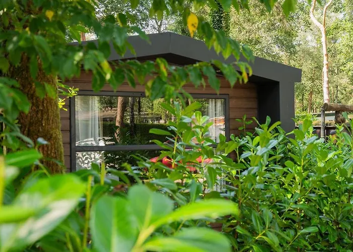 Forest Finest, Luxe Met Hot Tub Mooie Overkapping En Prachtige Tuin Met Veel Privacy *