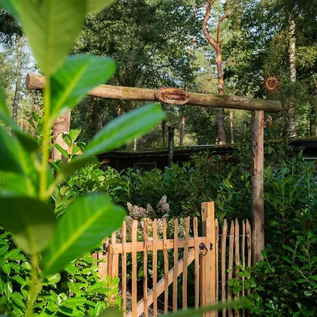 Forest Finest, Luxe Met Hot Tub Mooie Overkapping En Prachtige Tuin Met Veel Privacy