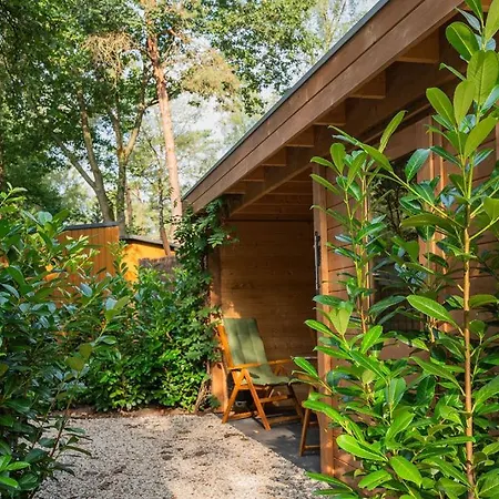 Chalet Forest Finest, Luxe Met Hot Tub Mooie Overkapping En Prachtige Tuin Met Veel Privacy Hoenderloo