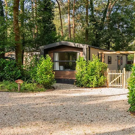 Forest Finest, Luxe Met Hot Tub Mooie Overkapping En Prachtige Tuin Met Veel Privacy Hoenderloo