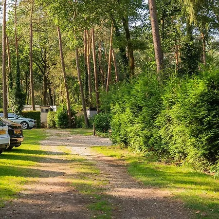 Forest Finest, Luxe Met Hot Tub Mooie Overkapping En Prachtige Tuin Met Veel Privacy *