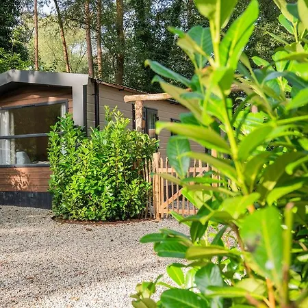 Forest Finest, Luxe Met Hot Tub Mooie Overkapping En Prachtige Tuin Met Veel Privacy *