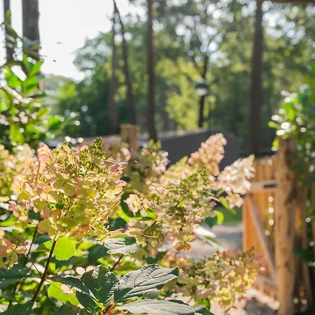 Forest Finest, Luxe Met Hot Tub Mooie Overkapping En Prachtige Tuin Met Veel Privacy Hoenderloo