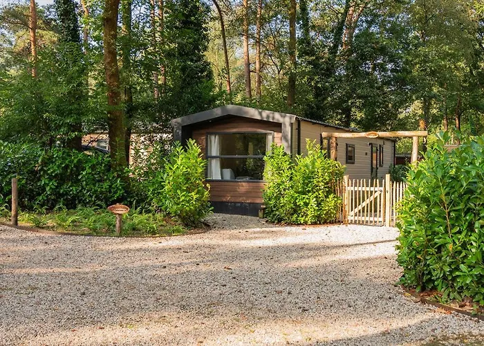 Forest Finest, Luxe Met Hot Tub Mooie Overkapping En Prachtige Tuin Met Veel Privacy Hoenderloo