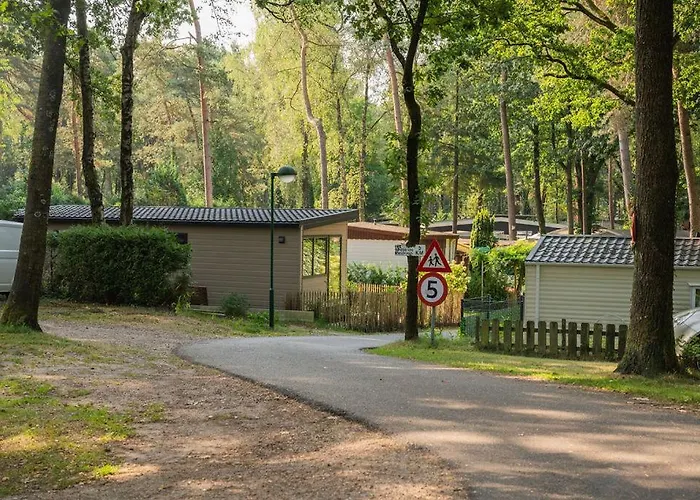 Forest Finest, Luxe Met Hot Tub Mooie Overkapping En Prachtige Tuin Met Veel Privacy Chalet Hoenderloo