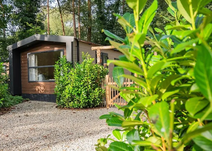 Forest Finest, Luxe Met Hot Tub Mooie Overkapping En Prachtige Tuin Met Veel Privacy *