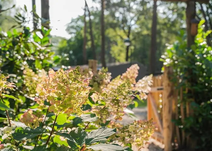 Forest Finest, Luxe Met Hot Tub Mooie Overkapping En Prachtige Tuin Met Veel Privacy Hoenderloo