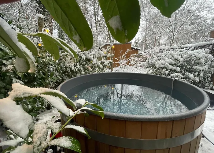 Chalet Forest Finest, Luxe Met Hot Tub Mooie Overkapping En Prachtige Tuin Met Veel Privacy Hoenderloo